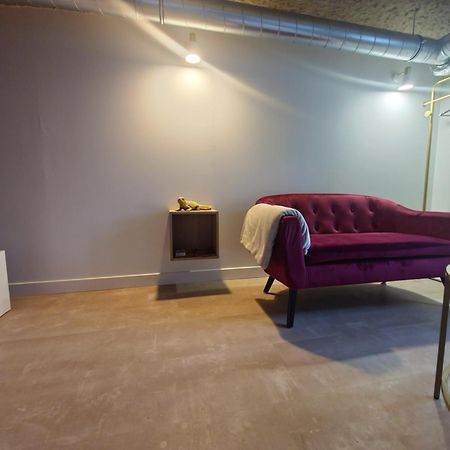 Le Cocon Troglodyte Apartment Saint-Etienne-de-Chigny Ngoại thất bức ảnh