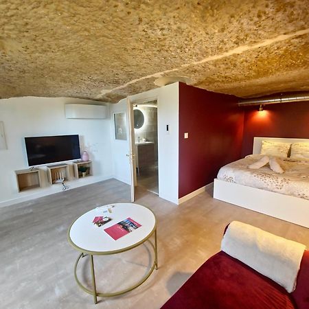 Le Cocon Troglodyte Apartment Saint-Etienne-de-Chigny Ngoại thất bức ảnh