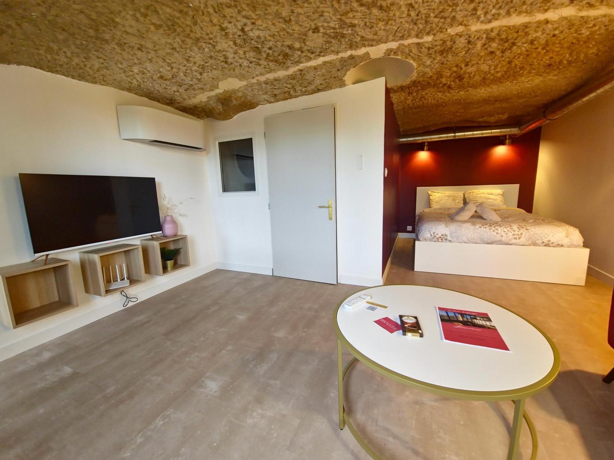 Le Cocon Troglodyte Apartment Saint-Etienne-de-Chigny Ngoại thất bức ảnh