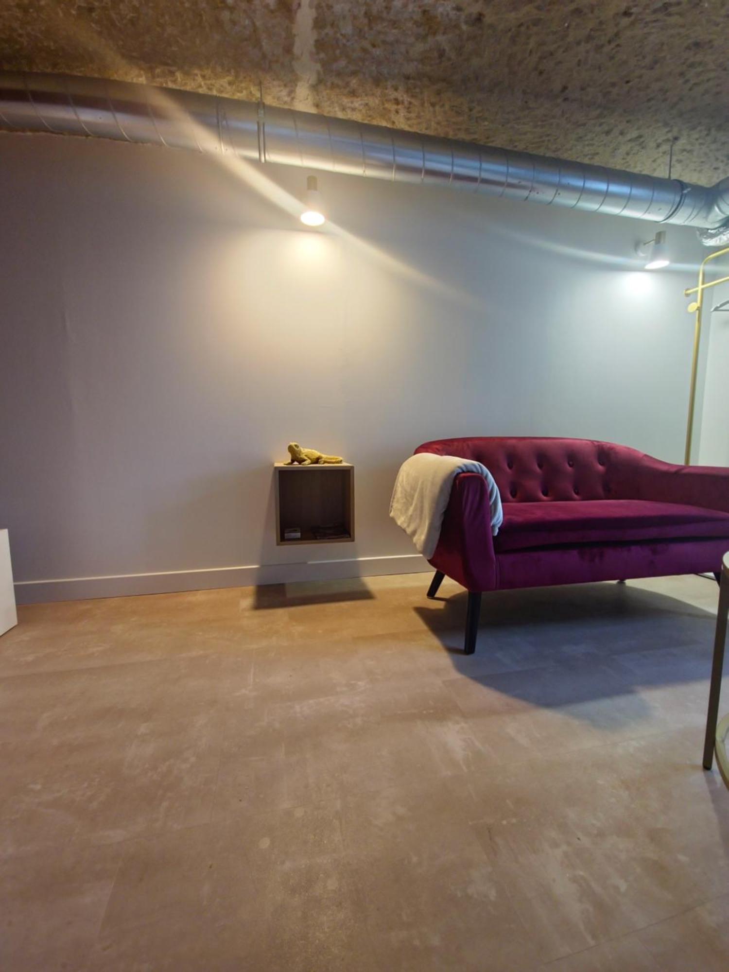 Le Cocon Troglodyte Apartment Saint-Etienne-de-Chigny Ngoại thất bức ảnh