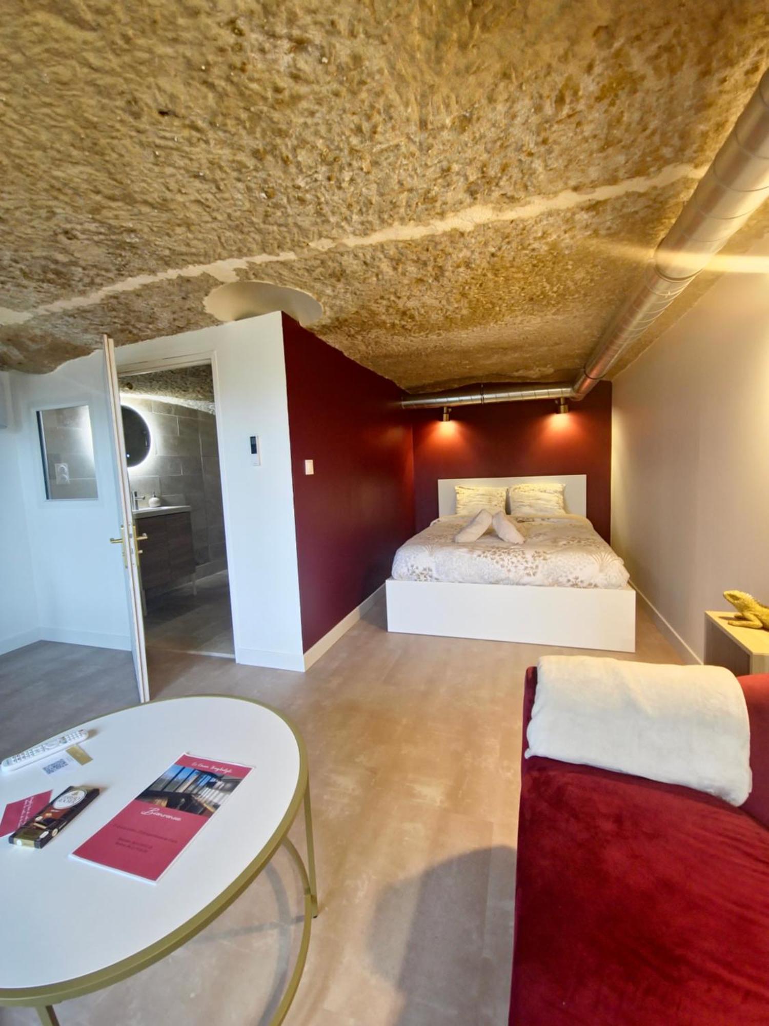 Le Cocon Troglodyte Apartment Saint-Etienne-de-Chigny Ngoại thất bức ảnh