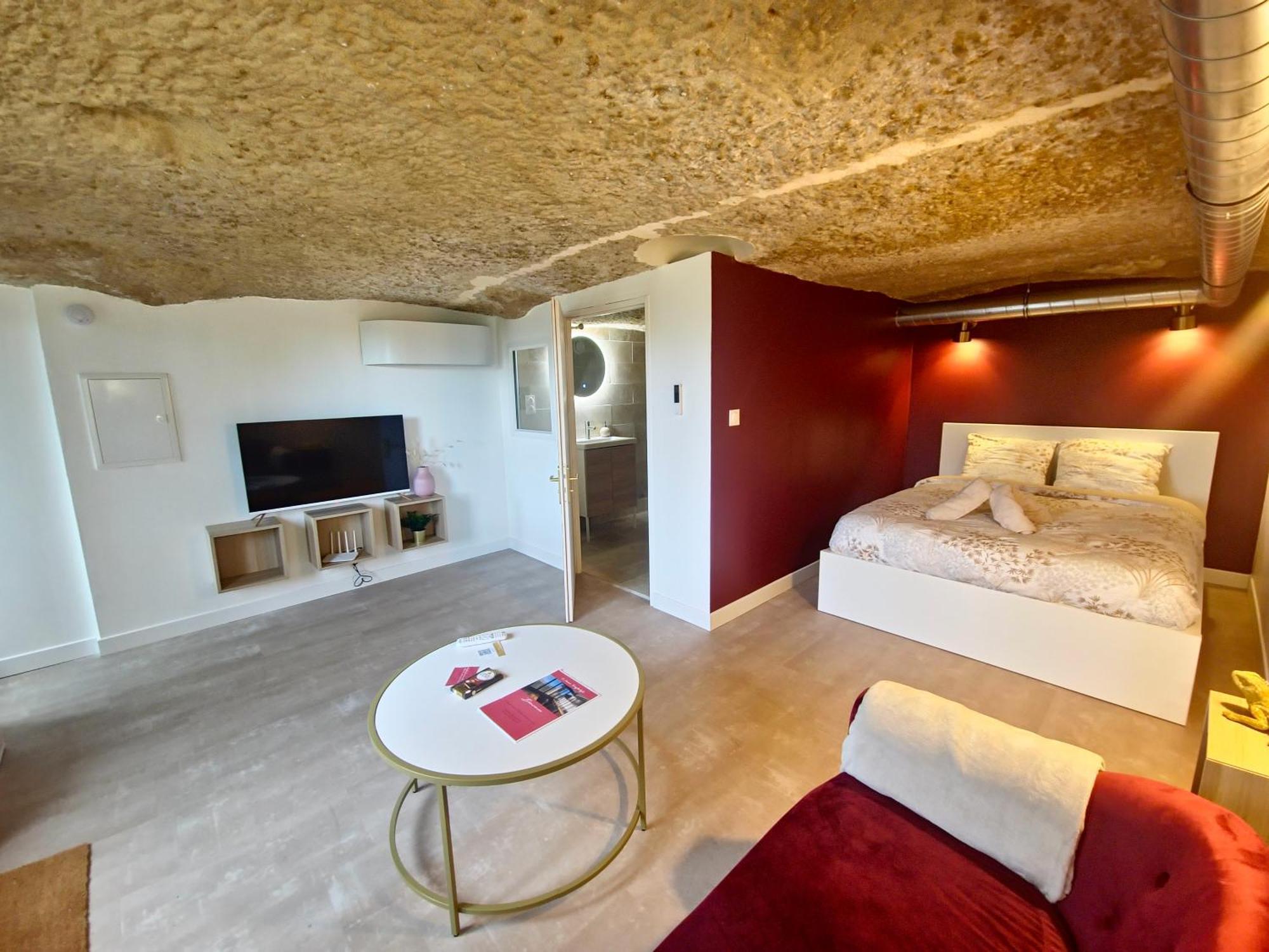 Le Cocon Troglodyte Apartment Saint-Etienne-de-Chigny Ngoại thất bức ảnh